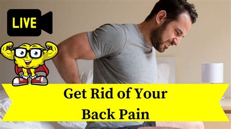 Get Rid Of Your Back Pain Total Body Project