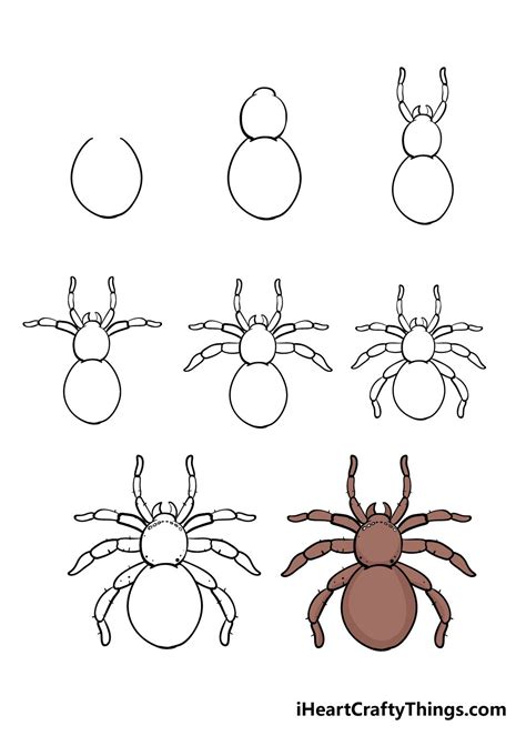 How To Draw A Spider A Step By Step Guide Spider Drawing Halloween