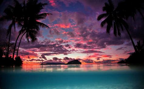 nature tahiti sunset palm trees island beach sea tropical sky clouds turquoise water