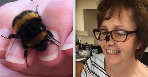 Die frau von mats hummels findet, dass die familie zusammen sein müsste. Hummel auf der Nase | Hummel, Frau, Nase