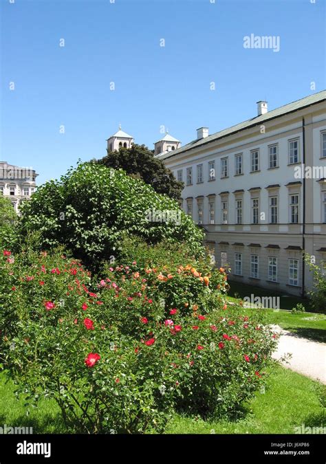 Castle And Roses Stock Photo Alamy