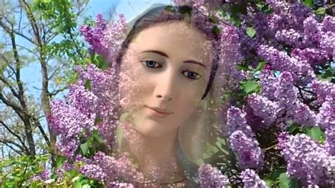 Pronounced maːj) is a romantic poem by karel hynek mácha in four cantos. ️.Ƹ̵̡Ӝ̵̨̄Ʒ Najpiękniejszy miesiąc maj ️.Ƹ̵̡Ӝ̵̨̄Ʒ - YouTube