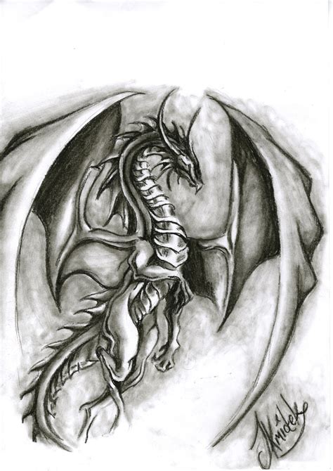 Charcoal Dragon Sketch By Boofcakes On Deviantart