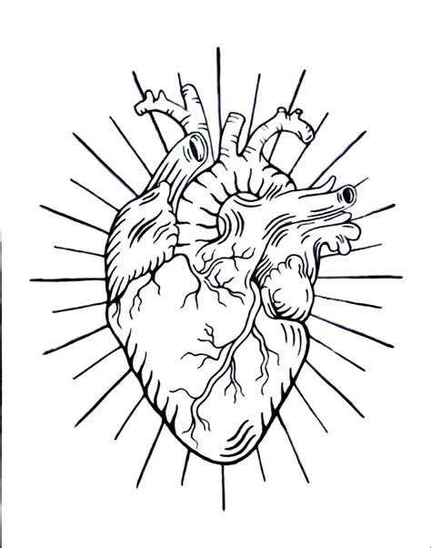 Anatomical Heart Drawing Human Heart Tattoo Rose Tattoos Tatoos