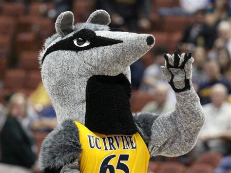 Strangest Team Names And Mascots In Sports