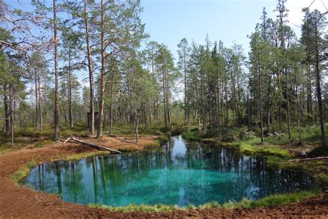 Swedish Lapland In Summer The Best Outdoor Travel Tips Travelwriternl