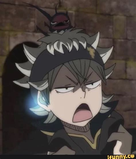 Picture Memes Xnbyvofl6 By 0blackclover0 1 Comment Black Clover