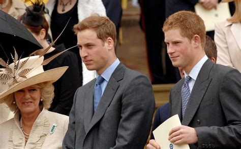 Prince charles, aged three, became the heir apparent to the throne. Prince Harry and Prince William's Relationship With ...