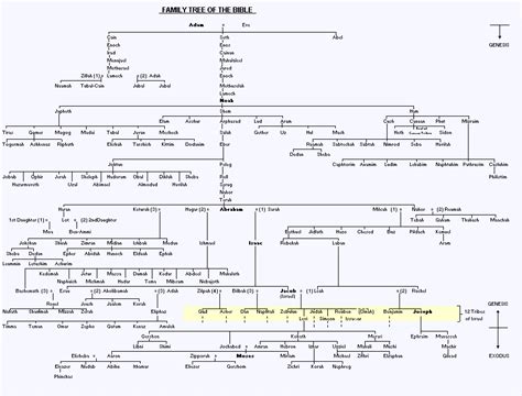 Lineage Of Jesus Chart
