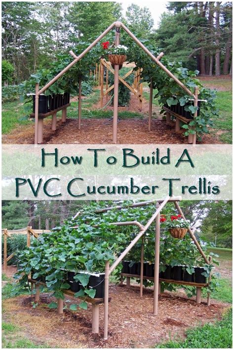 You can grow way more than you think by trellising, using containers, and square foot gardening. How To Build A PVC Cucumber Trellis | Cucumber trellis ...