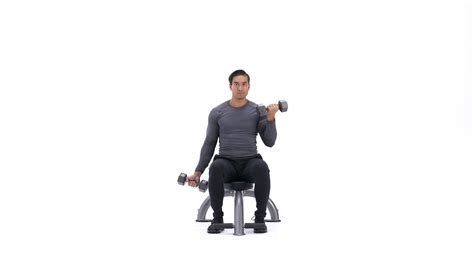 Seated Alternating Biceps Curl Exercise Videos And Guides