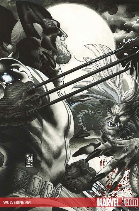 Wolverine Vs Sabretooth By Simone Bianchi Marvel Comics Art Fun Comics
