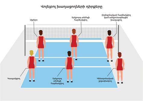 File Volleyball Players Positions HY Svg Wikimedia Commons