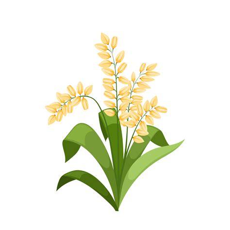 Rice Plant Cartoon Vector Illustration 17414860 Vector Art At Vecteezy