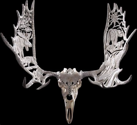 Moose Antler Carving Sculpture Yukon Seasons Antler Art Skull