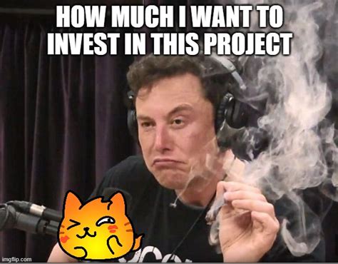 Elon Musk Smoking A Joint Imgflip