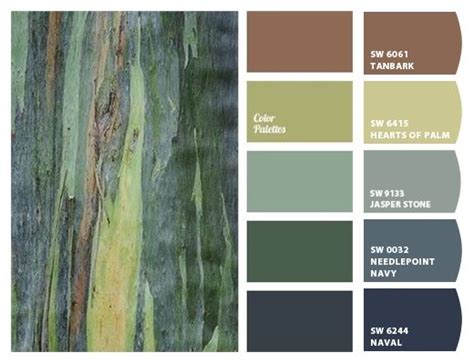 Paint Colors From Colorsnap By Sherwin Williams Green Paint Colors