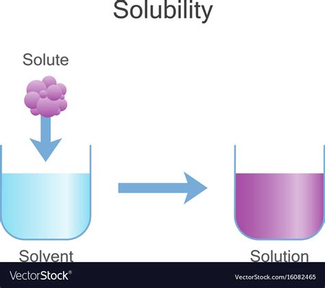 Dissolving Solids Solubility Chemistry Royalty Free Vector