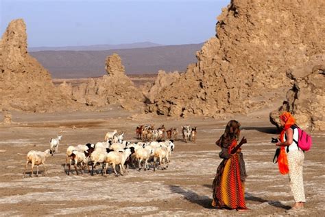 Official website of milky chance. Reis Ethiopië met verlenging Djibouti | excursies Djibouti ...