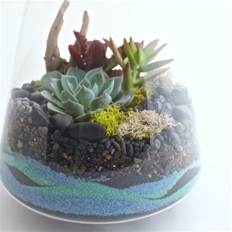 How To Make A Sand Terrarium Sunset Magazine