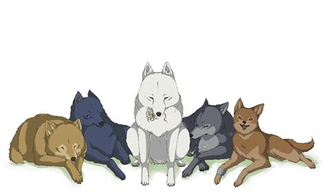 Anime Wolfs Rain Wallpaper Resolution1552x936 Id637889