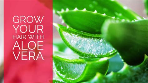how to grow your hair with aloe vera