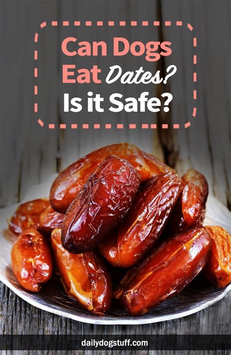 Not particularly, as cat food is specialised for cats. Can Dogs Eat Dates? Is it Safe.? | Dog food recipes, Can ...