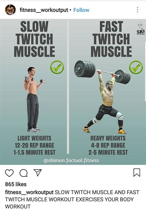 Slow Twitch Muscle Vs Fast Twitch Muscle | Muscle training, Gym tips