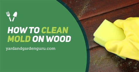 The most important part of cleaning mold is killing mold, so bleach water should be used in small doses after scraping off the dry mold with a toothbrush. How To Clean Mold On Wood