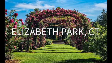 Elizabeth Park Rose Garden Hartford Ct Gopro 10 Cinematic 4k Youtube