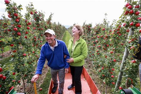 Ontario Apple Growers : Meet the Growers