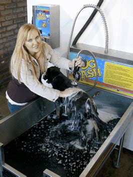 Tmc pet vending solutions ™ will increase revenue and business exposure with little overhead and. Dog Wash |Self Serve Dog Wash | Self Serve Pet Wash