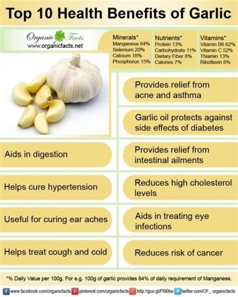 Pin By Tamara Hamblin On Herbs Garlic Health Garlic Benefits Garlic