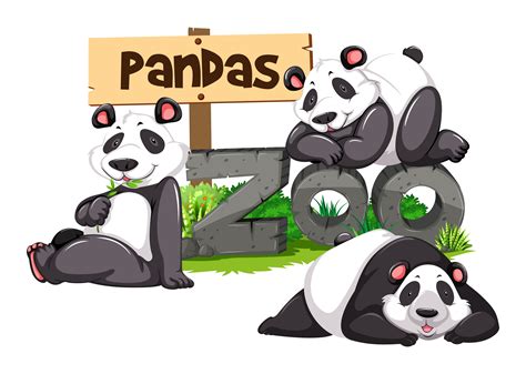 Three Pandas In The Zoo 300467 Vector Art At Vecteezy