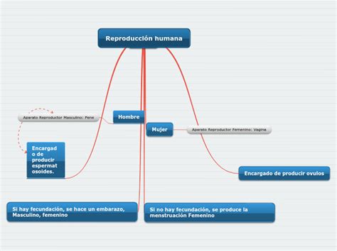 Reproducción Humana Mapa Mental Amostra