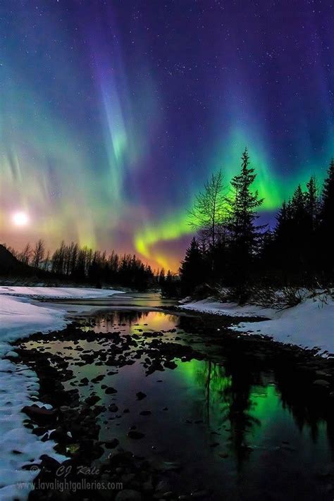 Ir Para O Alaska E Ver A Aurora Boreal Paisajes En 2019 Paisajes
