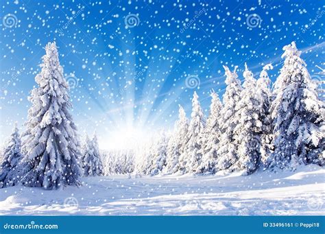 Winter Landscape Snowfall Stock Image Image Of White Nature 33496161