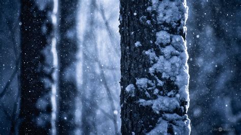 Falling Snow Blog Joni Niemelä Fine Art Photography