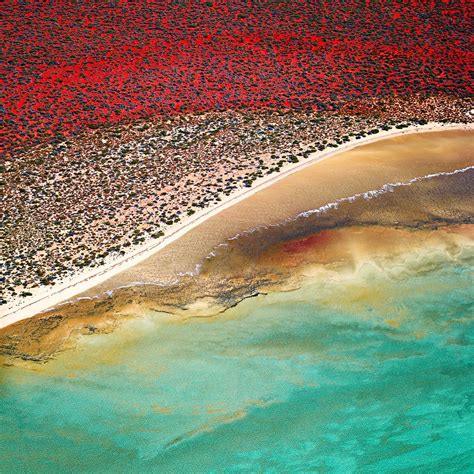 Shark Bay Western Australia By Chistian Fletcher Australia Landscape