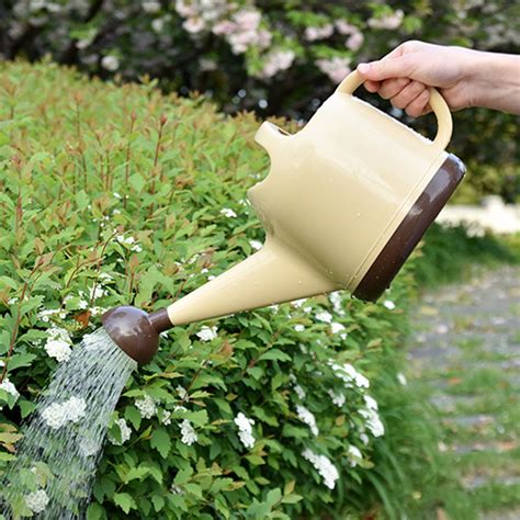 Aihome 4l Watering Can With Long Spout Watering Pot For Outdoor Indoor