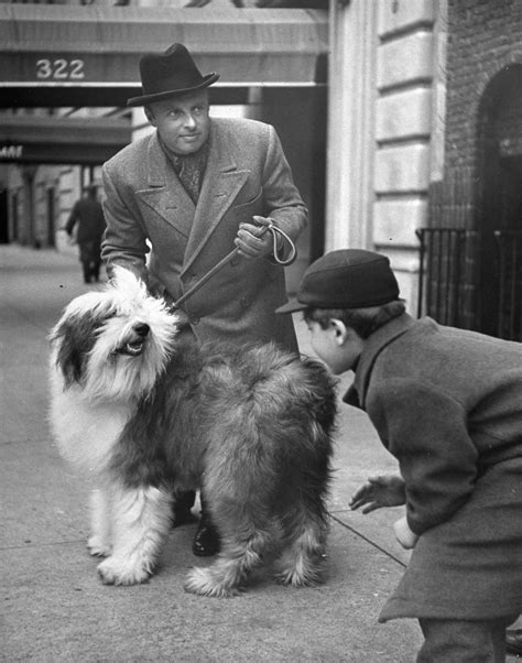 Celebrities Walk Their Dogs In 1940s New York City Photos Image 71