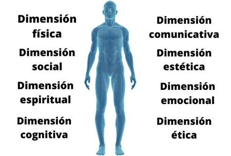 ¿cuáles Son Las Dimensiones Del Ser Humano Ser Humano Desarrollo