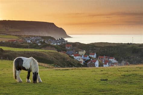 Staithes Fishing Village And Distant Boulby Cliffs On The North
