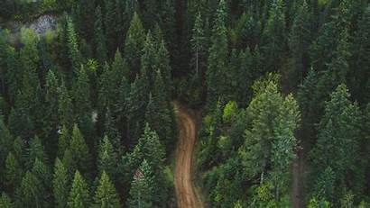 Forest Aerial Road Background Wallpapers Vegetation 1080p