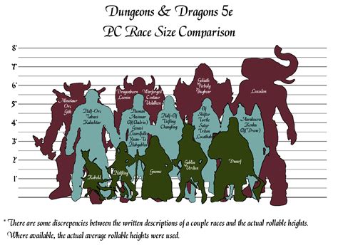 Dungeons And Dragons 5e Pc Race Size Comparison In 2023 Dungeons And