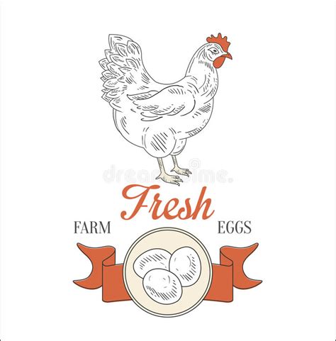 Farm Fresh Eggs Stock Illustrations 8509 Farm Fresh Eggs Stock