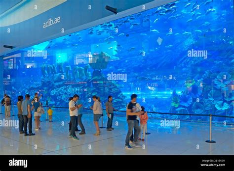 The Dubai Mall Aquarium And Underwater Zoo Dubai United Arab Emirates