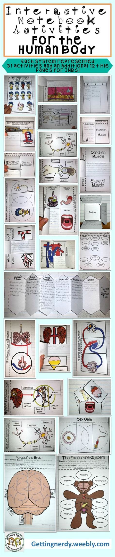 Human Body Systems - Science Interactive Notebook ...