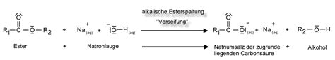 'wortgleichung' und synonyme zu openthesaurus hinzufügen. Esterspaltung - Chemiezauber.de