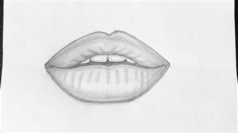 May 05, 2018 · how to draw male lips.right now, we want you to check out our simple steps on how to draw male lips. How to draw lips/step by step/easy drawing/for beginners ...